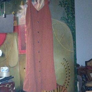 Cute Sleeveless Rust Button-Down Dress